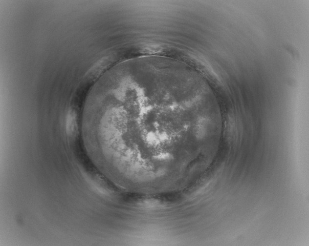 X0000115600598200911241556