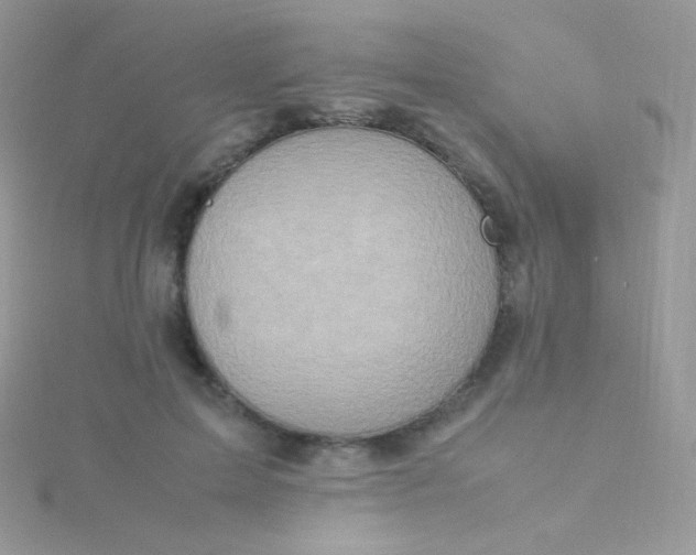 X0000115600599200911241556