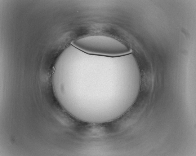 X0000115600601200911241556