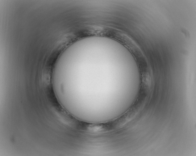 X0000115600602200911241556