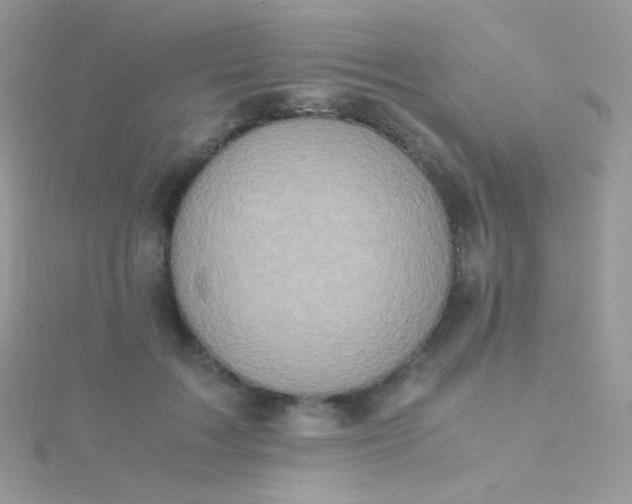 X0000115600603200911241556