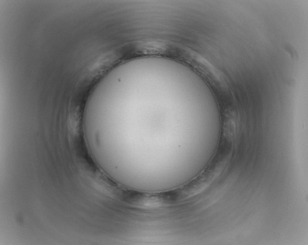 X0000115600604200911241556