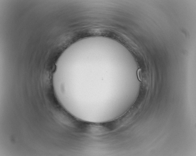 X0000115600605200911241556