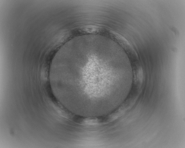 X0000115600606200911241556