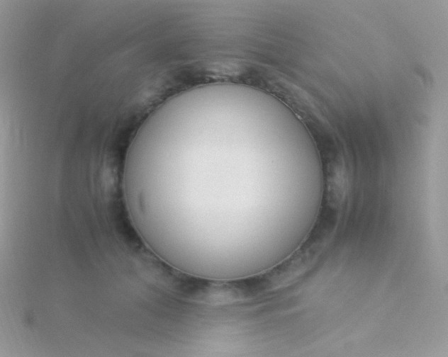 X0000115600608200911241556