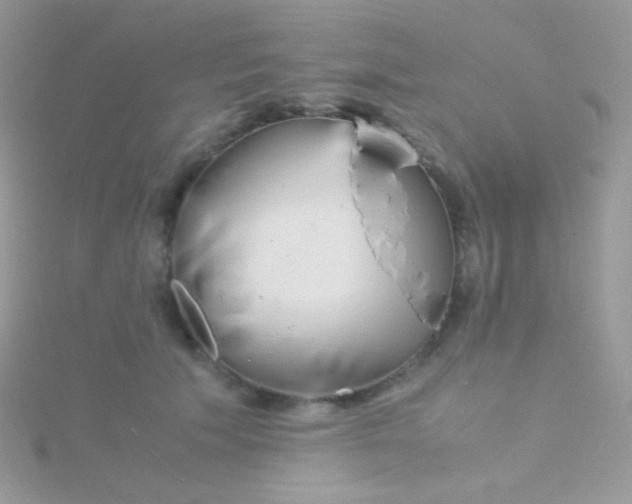 X0000115600609200911241556