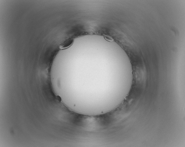 X0000115600611200911241556