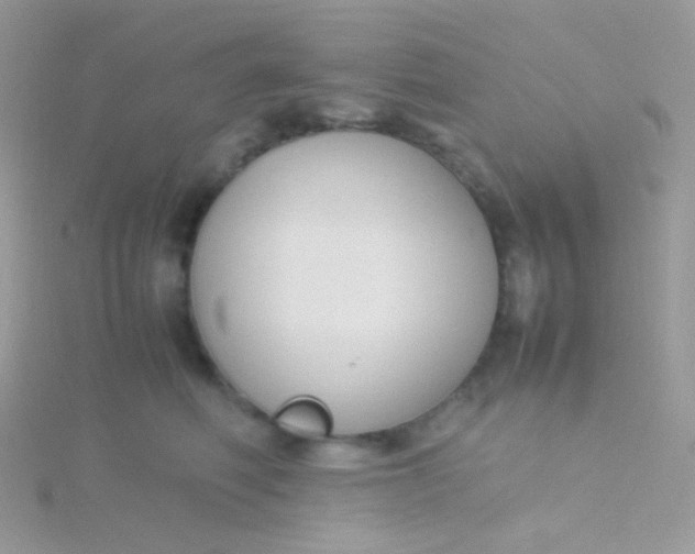 X0000115600614200911241556