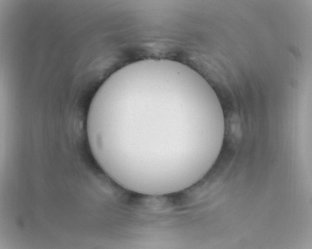 X0000115600615200911241556