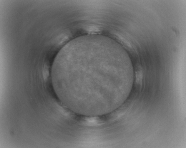 X0000115600618200911241556