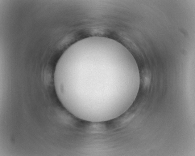 X0000115600619200911241556