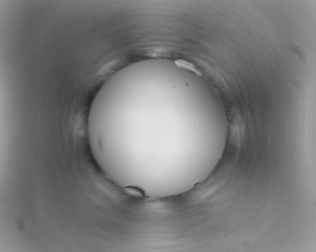 X0000115600620200911241556