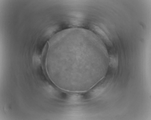 X0000115600621200911241556