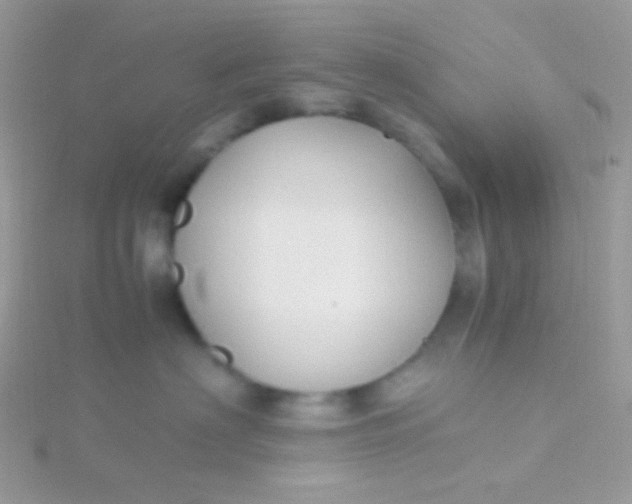 X0000115600622200911241556