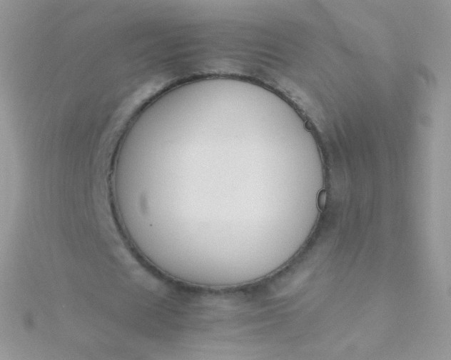 X0000115600625200911241555