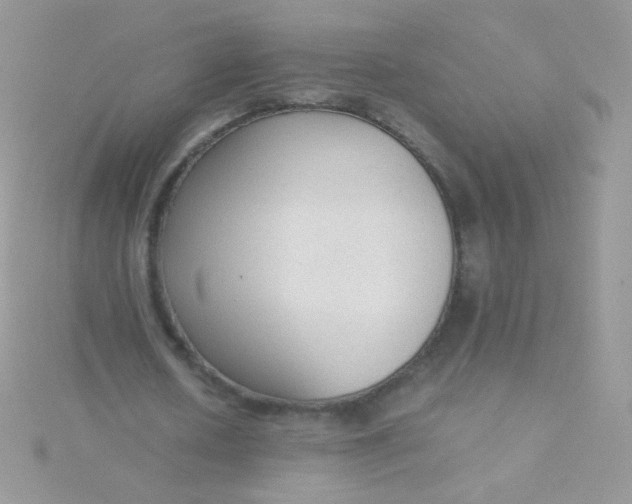 X0000115600626200911241555