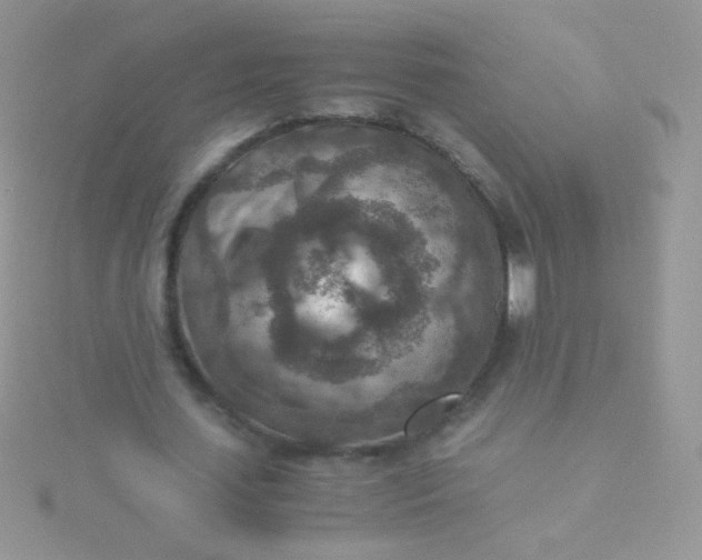 X0000115600627200911241555