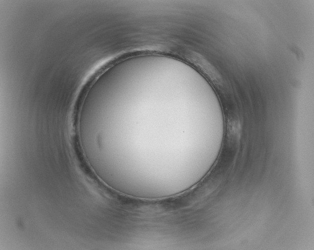 X0000115600628200911241555