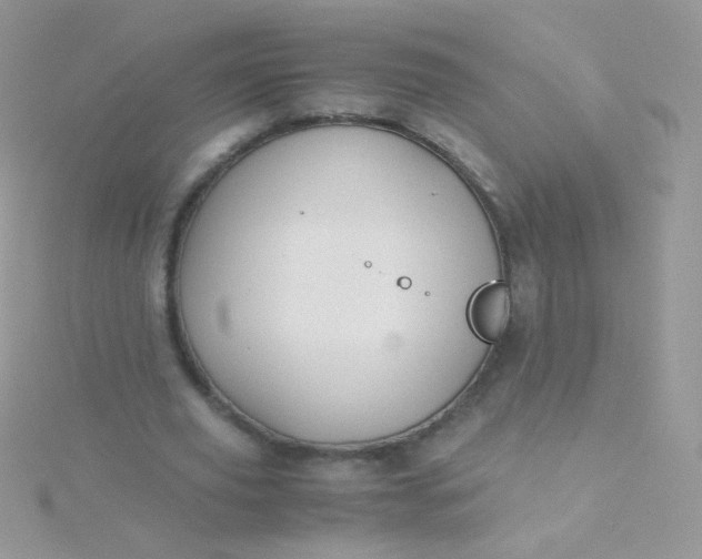 X0000115600629200911241555