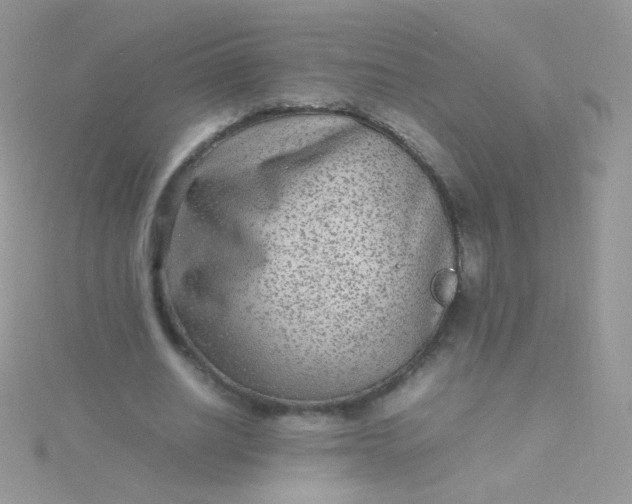 X0000115600630200911241555