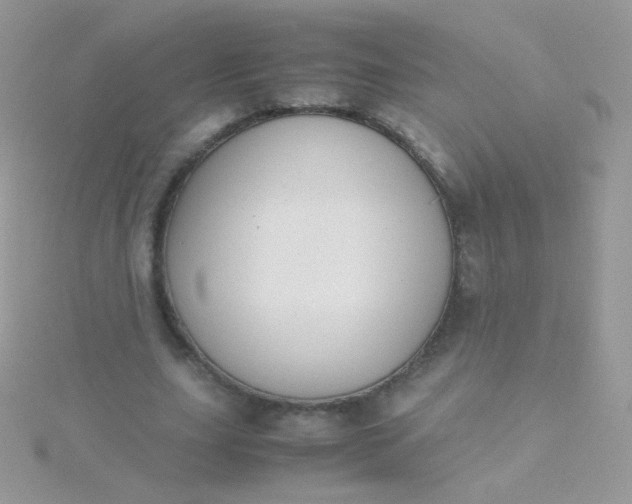 X0000115600631200911241555