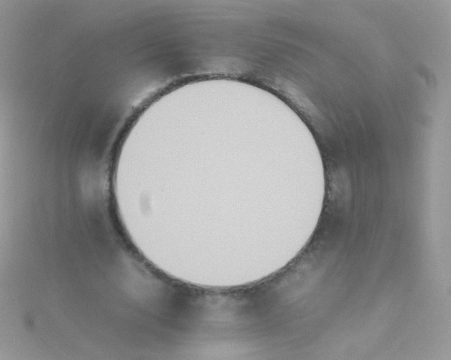 X0000115600632200911241555