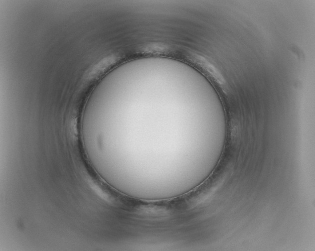 X0000115600633200911241555