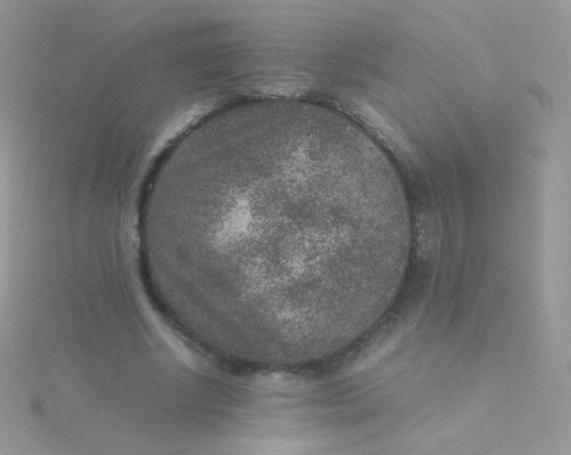 X0000115600634200911241555