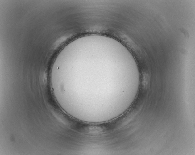 X0000115600636200911241555