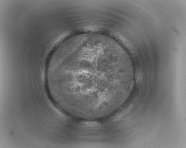 X0000115600637200911241555