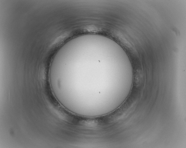 X0000115600639200911241556