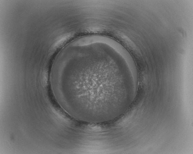 X0000115600640200911241556