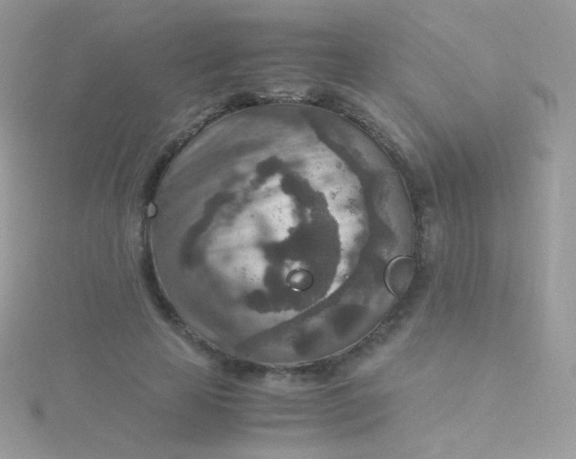 X0000115600641200911241556