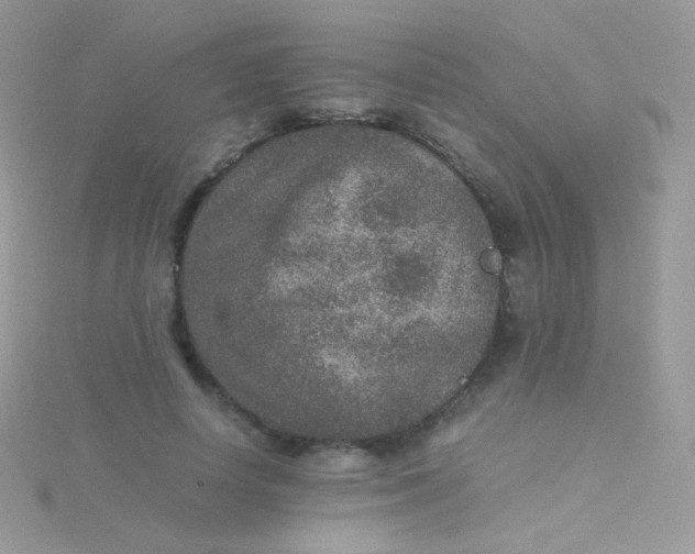 X0000115600642200911241556