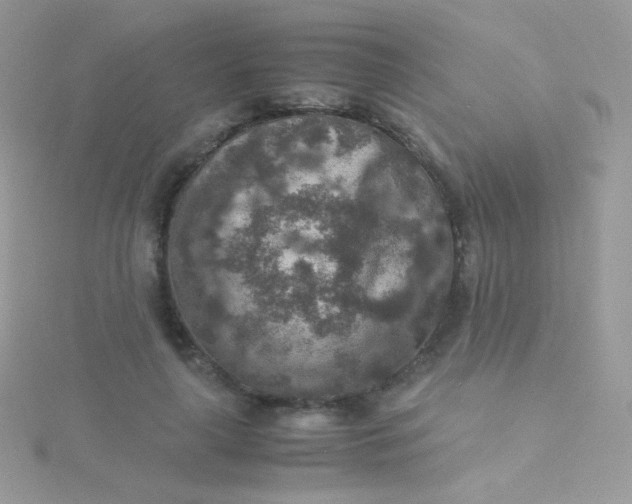 X0000115600643200911241556