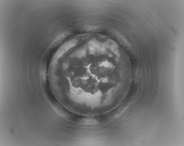 X0000115600644200911241556