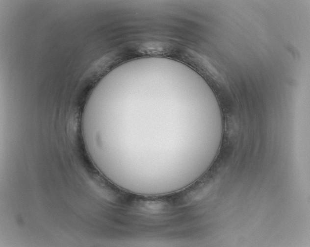 X0000115600645200911241556