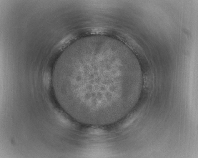 X0000115600648200911241556