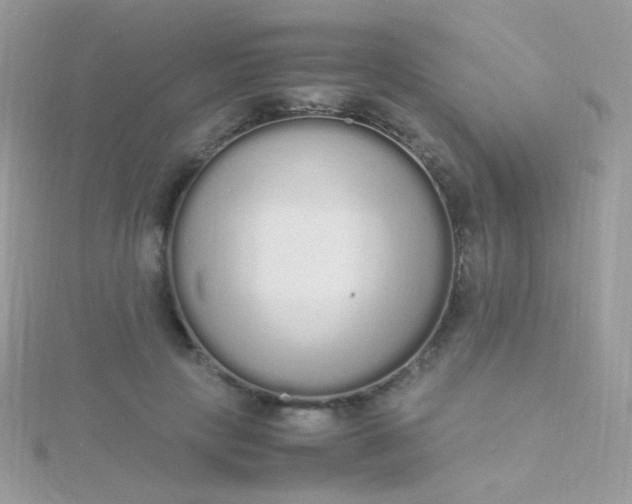 X0000115600649200911241556