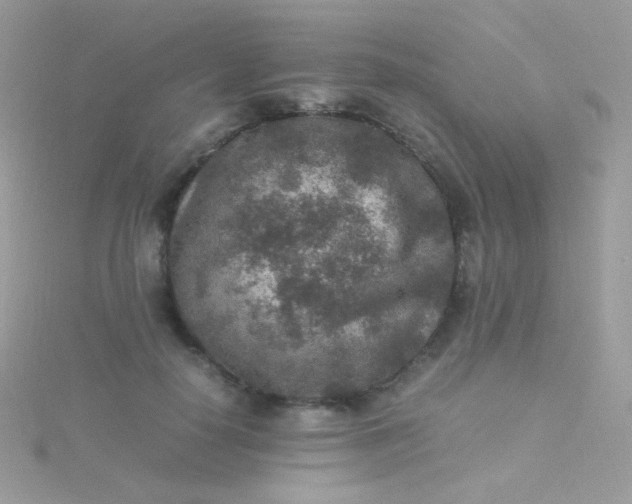 X0000115600650200911241556