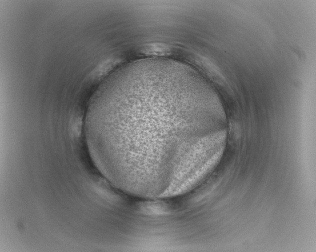 X0000115600652200911241556