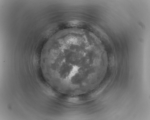 X0000115600653200911241556