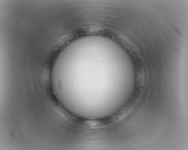 X0000115600654200911241556