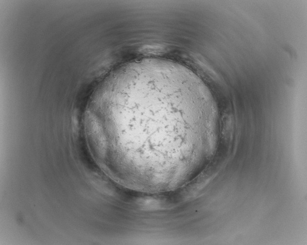 X0000115600655200911241556