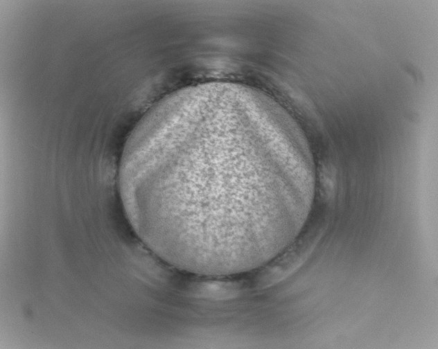 X0000115600657200911241556