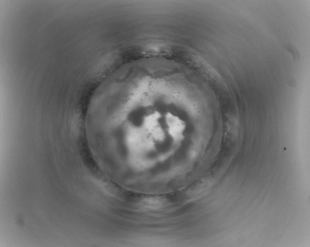 X0000115600659200911241556