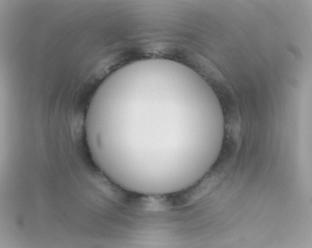 X0000115600660200911241556