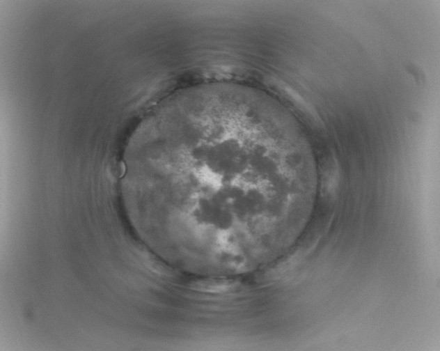 X0000115600661200911241556