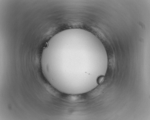 X0000115600662200911241556