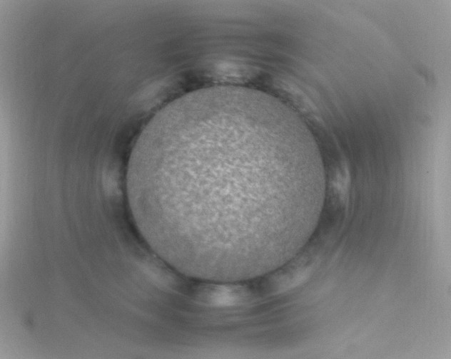 X0000115600663200911241556